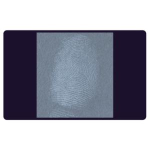 C205 BTDM-Ⅰ Vacuum coating fingerprint developing instrument