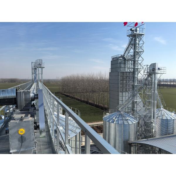 Energy-Saving Paddy Dryer Machine with Drying Temperature 50-80C and Heat