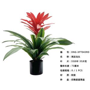 Texture Fidelity Artficial Guzmania Lingulata Fake Bonsai Plants 37 CM 60 CM 73