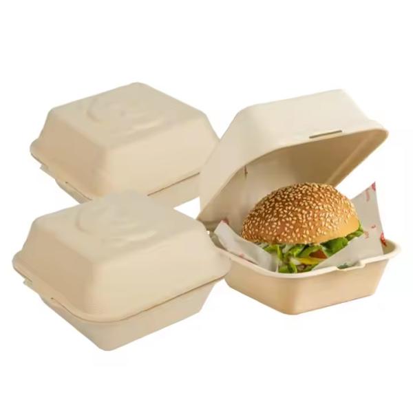 Recyclable Eco-Friendly Takeaway Containers Custom Biodegradable Sugarcane