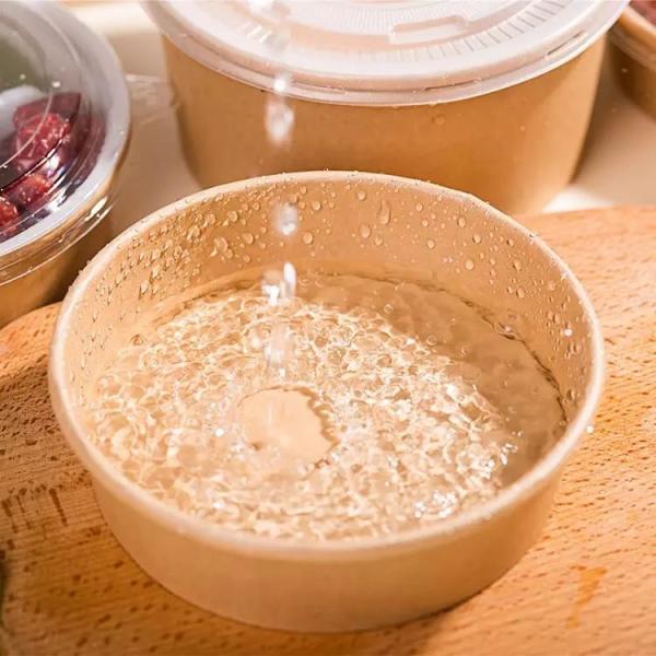 Manufacturers Selling Various Specifications 18oz Disposable Personalized Salad