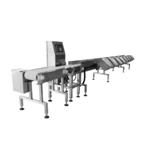 Fresh Food Automatic Weight Grading System Conveyor Fruit Fish Weight Sorting