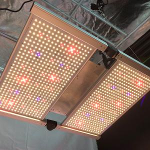 RedFarm 480W 3500K Quantum Board LED Grow Lights Samsung LM301H