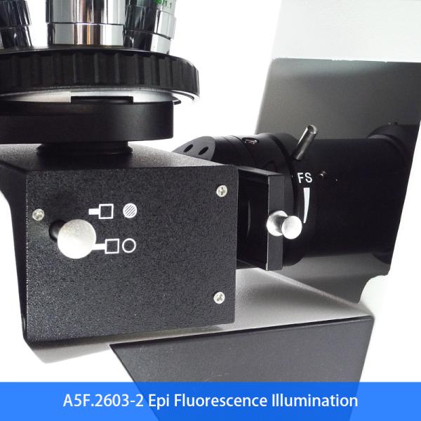 Binocular Wide Field Fluorescence Microscopy A16.2614 40X - 1600X Magnification