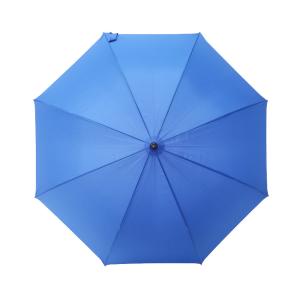 Semi Automatic Promotional Gifts Umbrellas With 190T Polyester Fabric