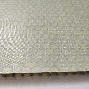 China Light Weight FRP Honeycomb Sandwich Panel 1000x2000mm on sale