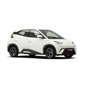 2024 MINI EV Auto Byd Seagull 5-Door 4-Seater Hatchback in 405KM Energy Vehicle