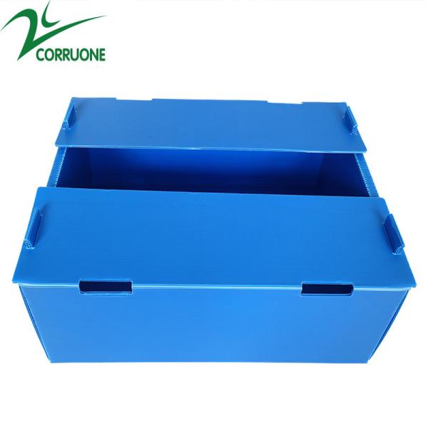 Buy Corruone Hot Sale Customized waterproof foldable PP polypropylene sheet Material Vegetable Fruit Packaging and delivery Boxes at wholesale prices