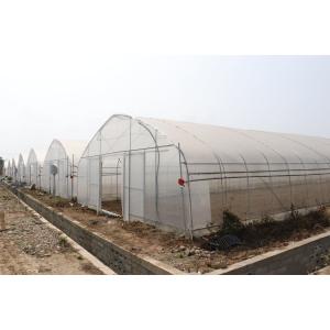 China Polytunnel Sri Lanka Colombo Steel Frame Greenhouse Single Span on sale