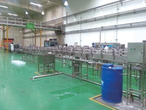 China RO Drinking Water Treatment Plant Auto Packaged Mineral Water Plant Machinery on sale