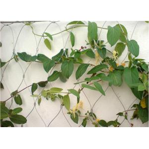 Plant Climbing Green Wall Stainless Steel Cable Mesh 3.2mm