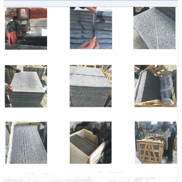G383 Pearl Flower Granite For Floor & Wall Owner Quarry stairs for building