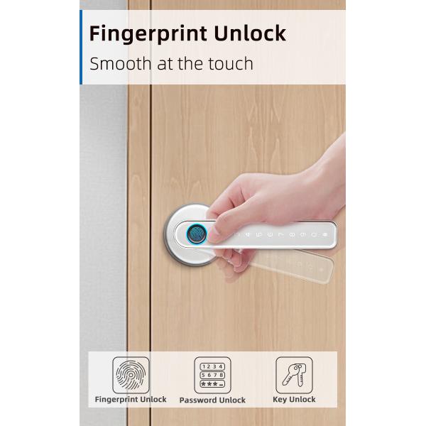 Retro Style Fingerprint Handle Door Lock Zinc Alloy Anti Corrosion