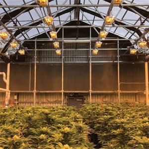 Single Span Tunnel Greenhouse Blackout System Hydroponic System Extreme Light
