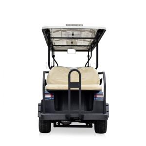 6+2 Seater Electric Golf Sightseeing Car Golf Shuttle Car With AC System Curtis