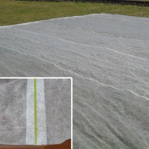 200gsm Spunbond Non Woven Fabric Agro Sheet Vegetable Freeze Protection For