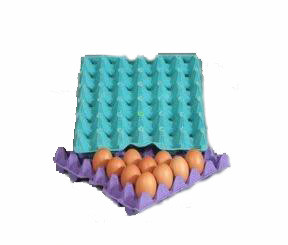 Automatic Pulp Moulding Egg Tray/Box/Dish/Carton Making Machine