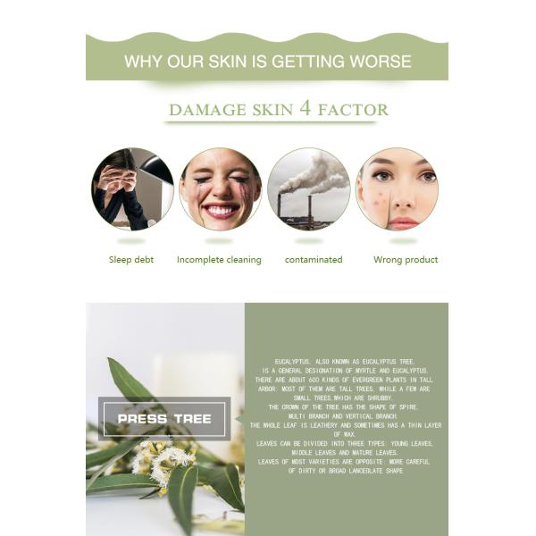 Eucalyptus Essential Oil Bulk 100% Pure Natural 25kg USDA OEM