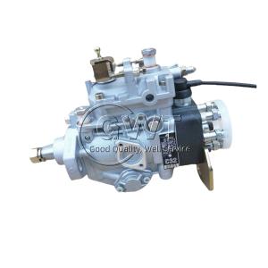 196000-31538 Deson Fuel Injection Pump 22100-1C320 VE6/10F1900RND315