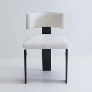 Minimalist Ultra Modern Dining Chairs