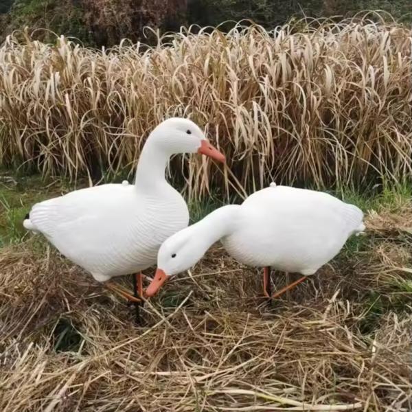76x23x23cm EVA Foam Floating Snow Goose Decoys Full Body Customized For Hunting