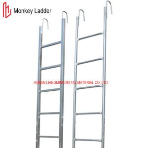 China Pre Galvanized Scaffolding Monkey Ladder Q235 Scaffold Step Ladder on sale
