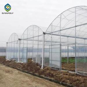 Large Double Arch 4.5m Agriculture plastic Film Greenhouse Intelligent