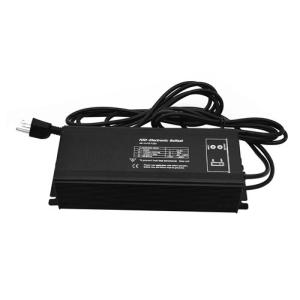 Dimmable Digital Ballast 250 Watt , Electronic MH Ballast For Aquarim Lights