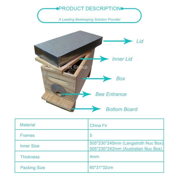 Queen Rearing 19mm Beekeeping Wooden House 5 Frames Bee Nuc Box