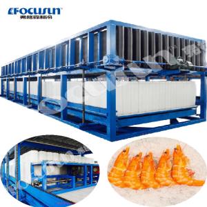 Video Outgoing-Inspection Provided High Productivity Direct Cooling Block Ice