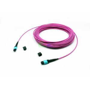 OM4 50/125μm Multi - Mode MTP Trunk Cable , 3.0mm Jacket OD MTP 12 Fiber