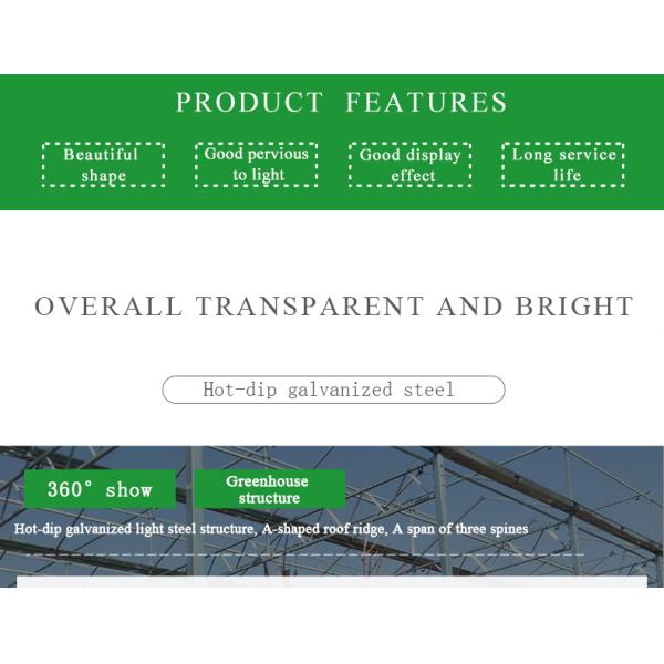 Good Light Permeability Essential for Venlo Glass Greenhouse in Agricultural Industry