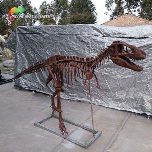 Personalized customization Dinosaur Bone Replicas T Rex Skull Replica