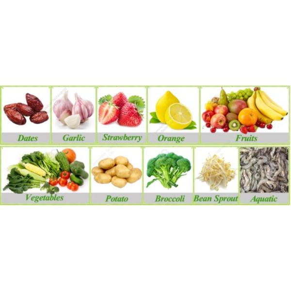 Automatic Vegetable Washer Fruit Washer Machine Vegetable Washing Line