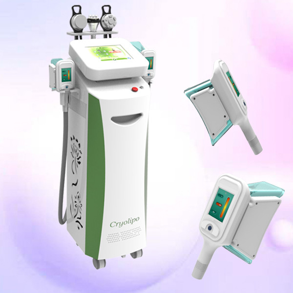 Buy Coolsculpting Cryolipolysis Slimming Machine Safety For Women Salon Use at wholesale prices