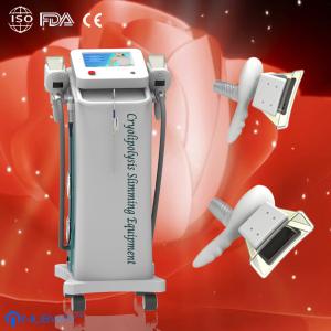 Professional Coolsculpting / Cryolipolysis slimming machine for weight loss,