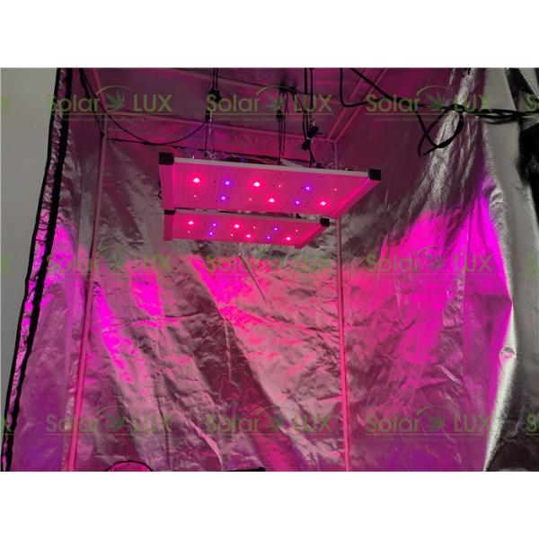 Buy Greenhouse 240Watt Tent 2x2 Led Grow Light at wholesale prices