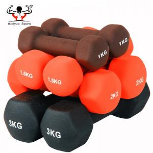 China Strength Training Dumbbell For Ladies , Wear Resistant Cast Iron Dumbbells on sale