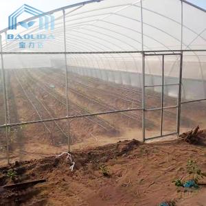 Agriculture Cucumber Chili Single Span Tunnel Plastic Greenhouse With Shading