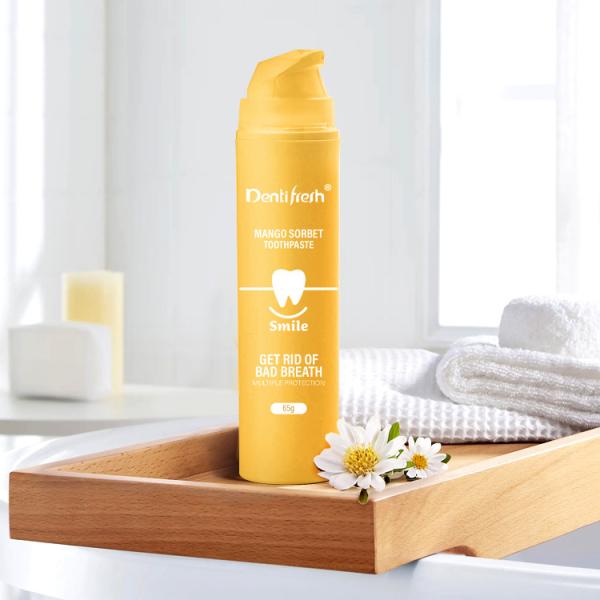 Buy Non Irritating Pump Bottle Toothpaste at wholesale prices