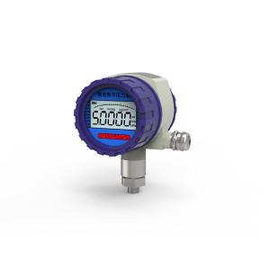 YK-1 Explosion-Proof Digital Pressure Gauge Advanced Circuitry and High-Capacity
