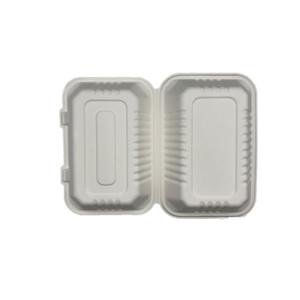 EN13432 9×6 Inch Natural Bio Food Packaging Boxes