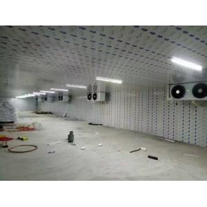 Frozen Meat / Chicken Container Cold Room Freezer One Year Warranty