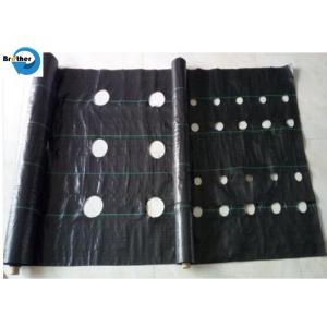 Black/Green/White PP/PE/Plastic Woven Weed Control Geotextile/Fabric for