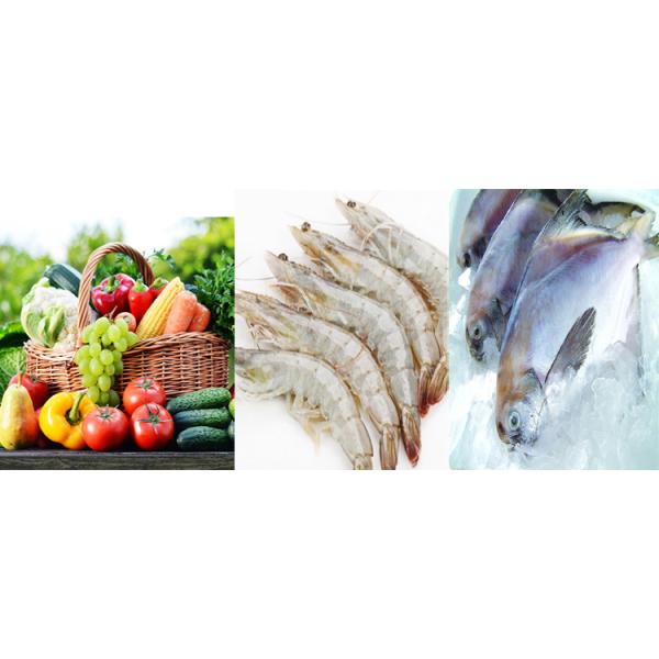 40ft Building Reefer Container 40HQ Cold Room Storage Certified CSC Steel and Flat Floor