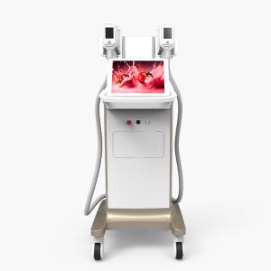 Safe And Effective 0-100kPa Vacuum Cryolipolysis body Slimming Equipment