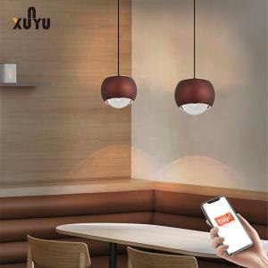 Quality XUNYU LED Pendant Light 8W 6000K Sphere Pendant Light Fixtures for sale