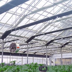 Light Deprivation Shading Greenhouse Fully Automated Light Dep Blackout