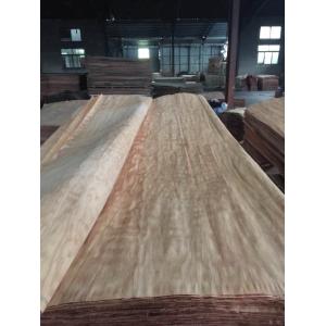 sell Dillenia face veneer