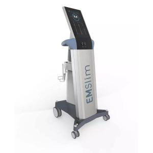 ISO9001 EM Sculpting Body Sculpting Machine 2 Handles